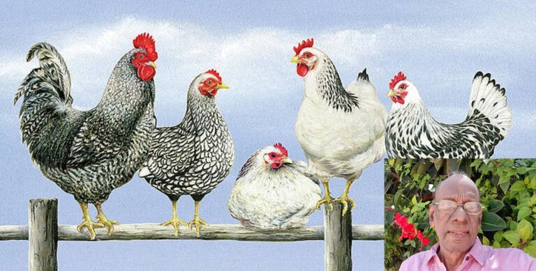 Screenshot 2021-08-11 234437