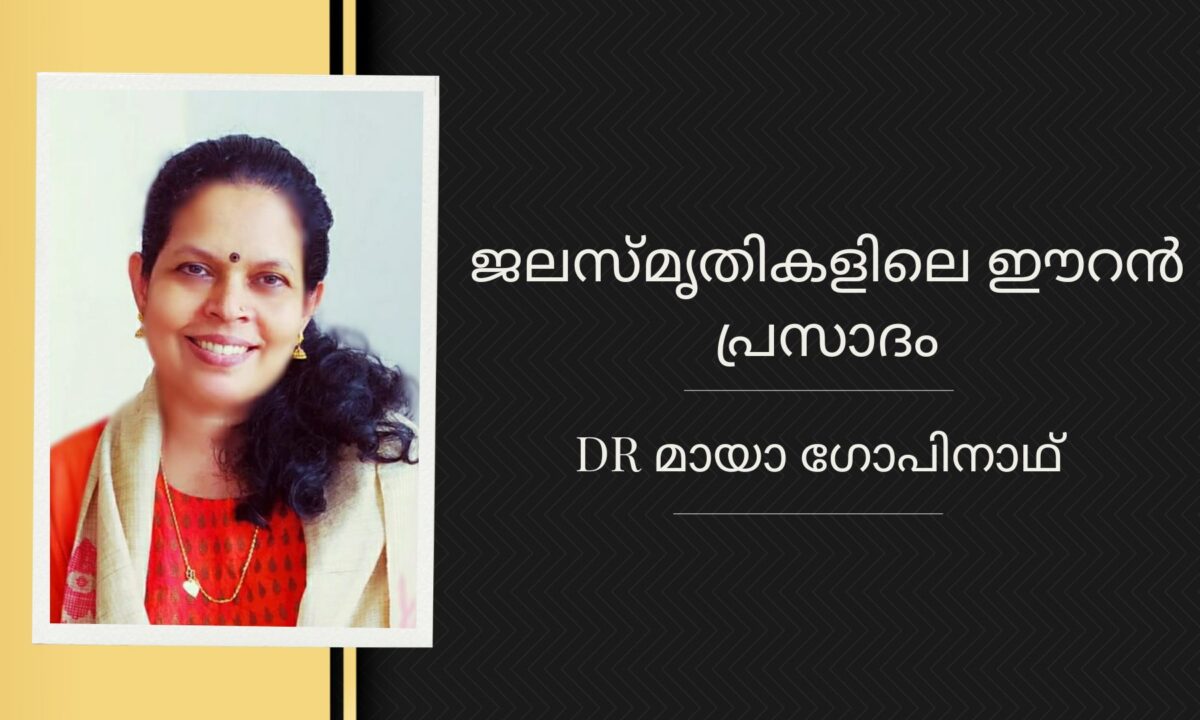 ജലസ്‌മൃതികളിലെ ഈറൻ പ്രസാദം – Dr മായാ ഗോപിനാഥ്