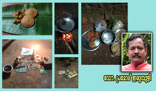 കൊടുതി പൂജയുടെ പ്രാധാന്യം-ഡോ. പ്രമോദ് ഇരുമ്പുഴി